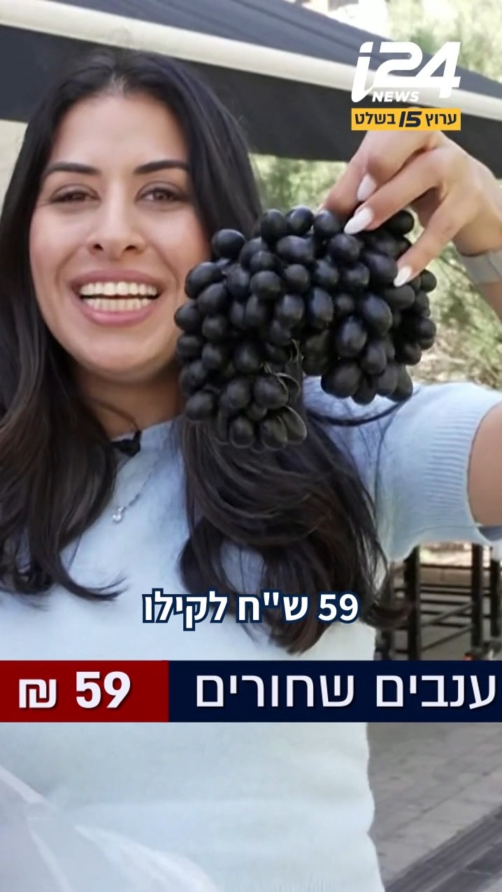 ⁨ ⁨ יקר ואיכותי או זול ונגיש: דנה ירקצי וצוות המומחים בדקו...