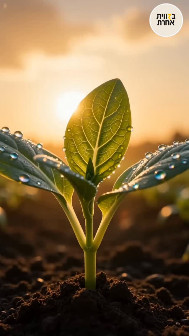 הסוד של הגנן 🌿 הצמח לא צומח כי הראש שלם. הוא צומח כי חתכו לו...