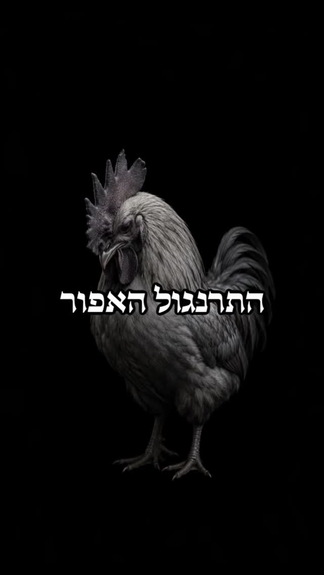 בחיים, אם לא תעזרו לעצמכם, אף אחד לא יעזור לכם ✋🏼...
