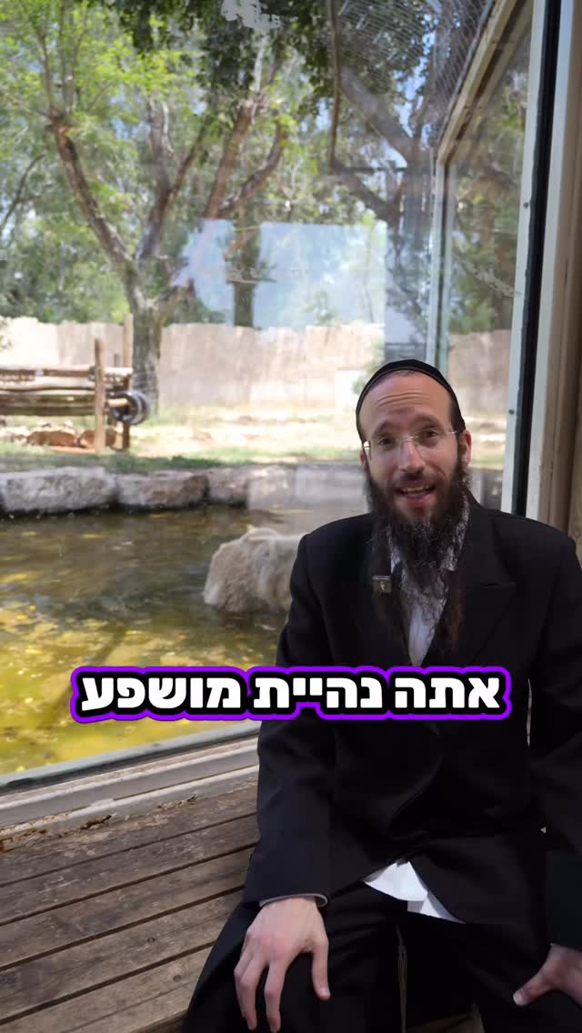 דגים קטנטנים תזהרו מהדוב הגדול