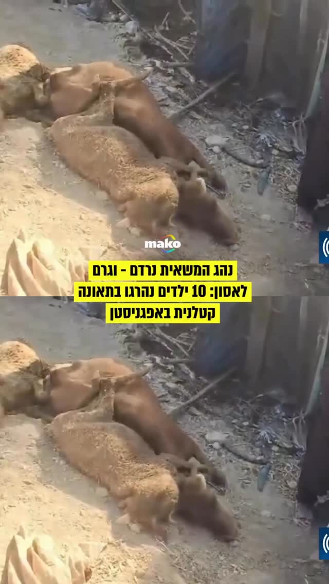 לפחות 18 בני אדם נהרגו, בהם 10 ילדים, בתאונת דרכים קטלנית...