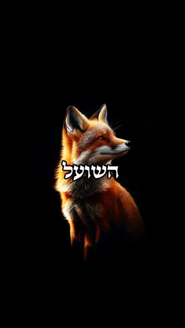הכל משתבש לטובה 🦊...