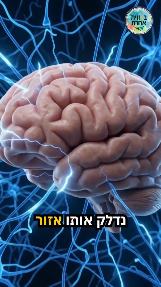 בדידות - כאב אמיתי 🫥...