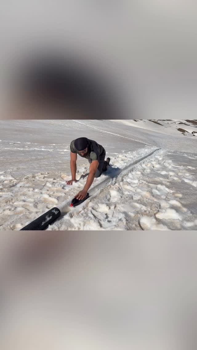 דגים הגיעו למקלט השלג...