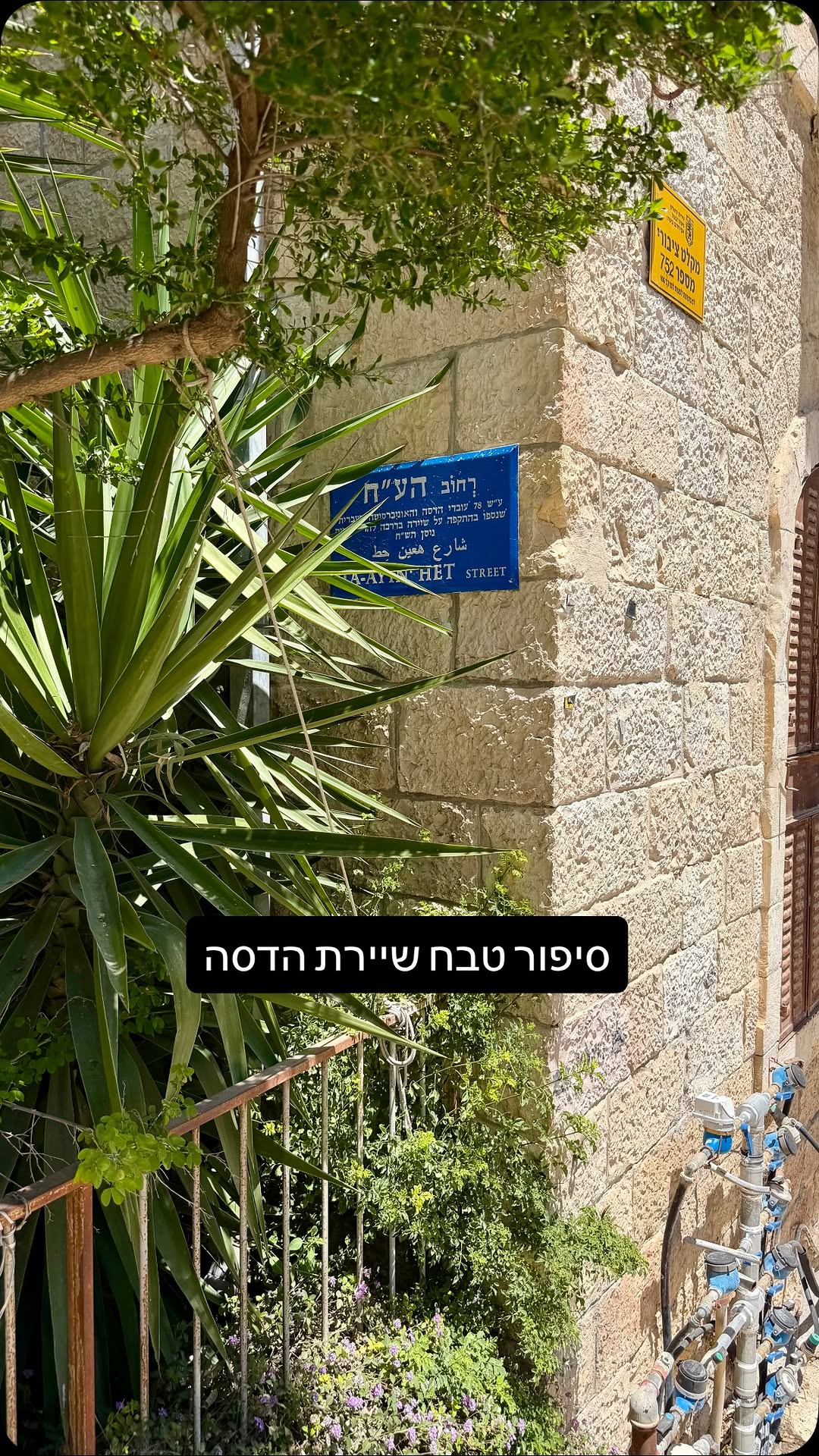 ⁨ אם יצא לכם לטייל ברחוב הע״ח בירושלים ולתהות מה מקור שם...