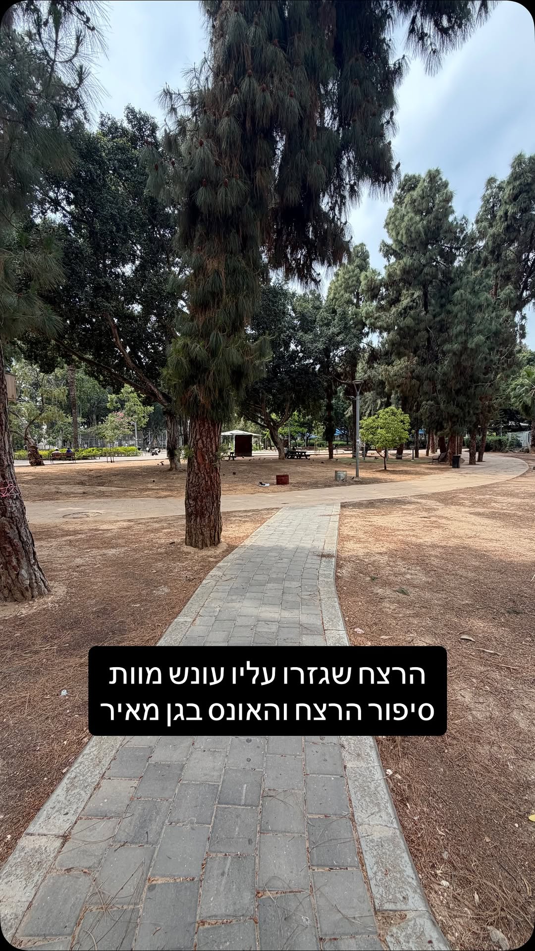⁨ בשנת 1949 התרחש בלב תל אביב רצח ואונס מזעזעים שבית המשפט גזר...
