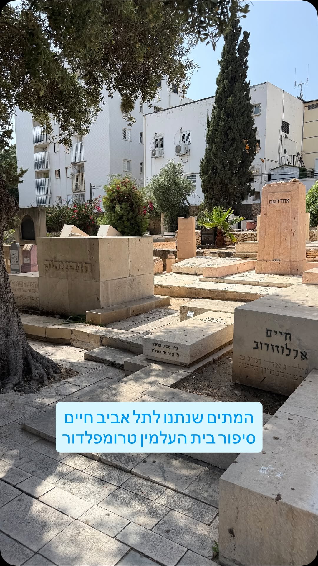 ידעתם שבית העלמין הראשון של תל אביב שבו נקברו מחשובי התנועה...