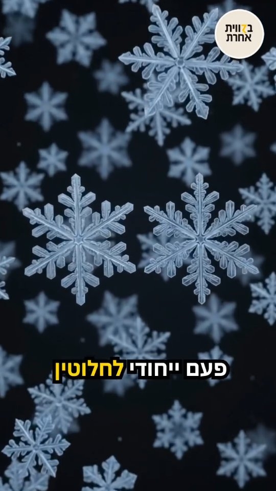 הקוד הסודי ❄️ יש קוד אחד שכתב את כל המציאות. הוא חבוי במקום...