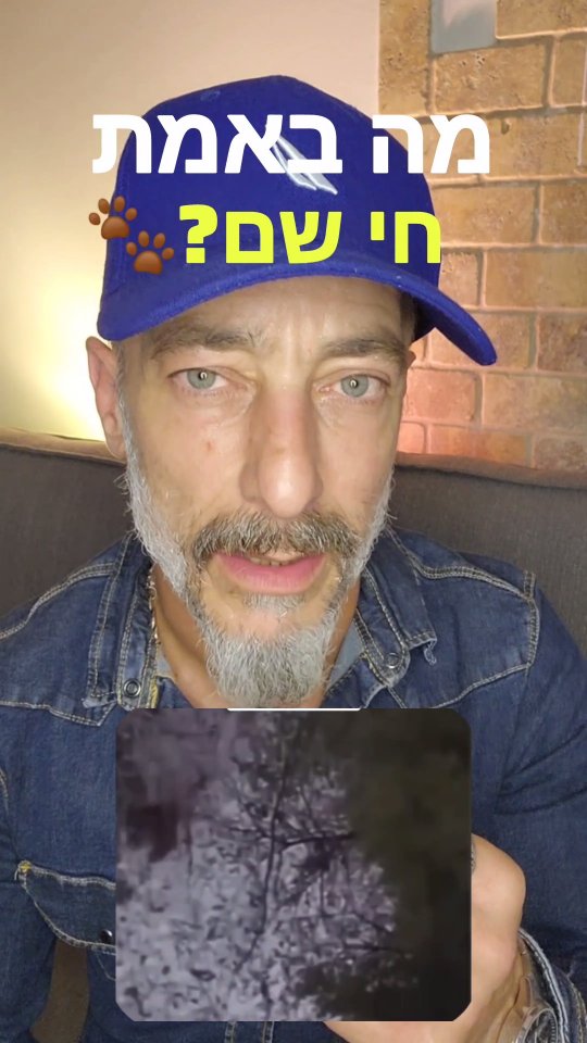 מה באמת חי שם ?...