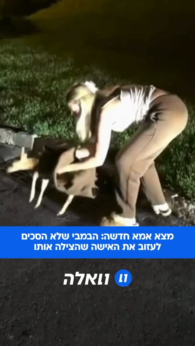 בעלי החיים פשוט לא מפסיקים להפתיע: עופר איילים קטן בניו ג’רזי...