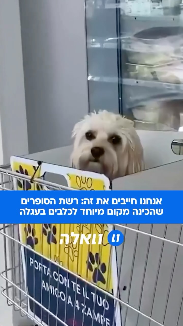 ⁨ אם גם אתם מרגישים רגשות אשם בכל פעם שאתם משאירים את החבר על...