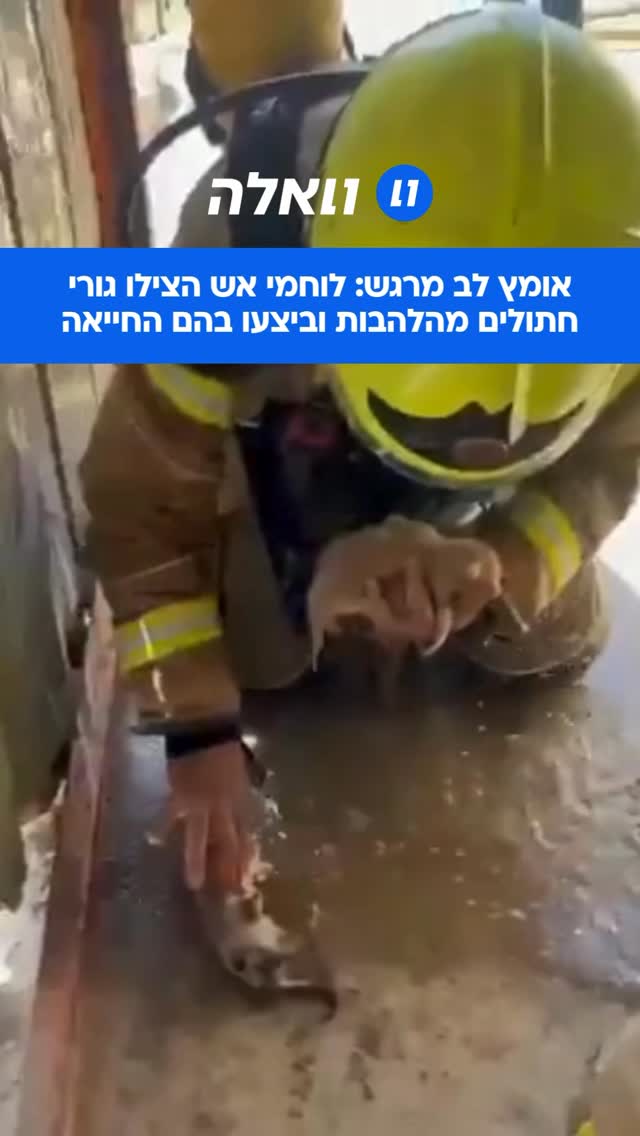 אירוע מרגש התרחש היום בפזורה סמוך לערערה בנגב, לאחר שלוחמי אש...