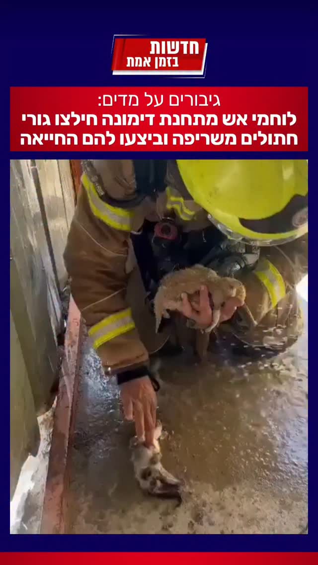 סרטון שירגש כל חובב חיות...