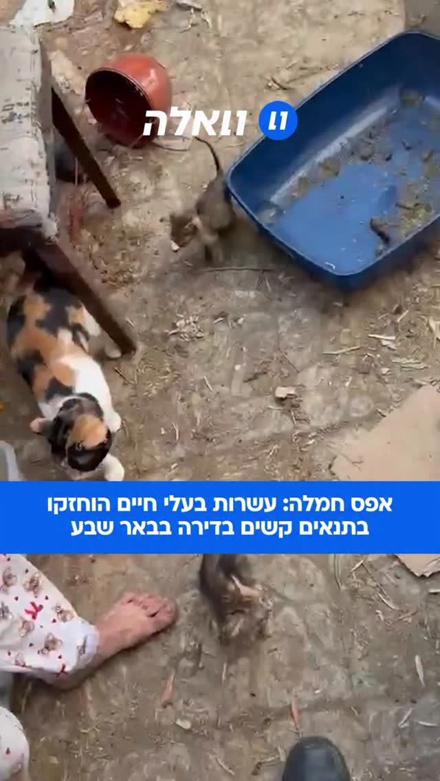 שוטרי תחנת באר שבע הוזעקו במהלך השבוע האחרון לאירוע שהחל...