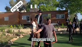 על סוס: מעמד קבלת פנים שע”י ארגון עם קדוש להבה”ח מאיר סבג,...