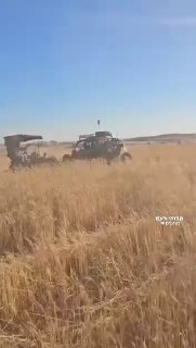 בנתיים בדהריה, מדרום לחברון...
