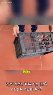 🪴🧱 איש יצר עציץ בטון עמיד וחסכוני מקופסת פירות ישנה, תוך...