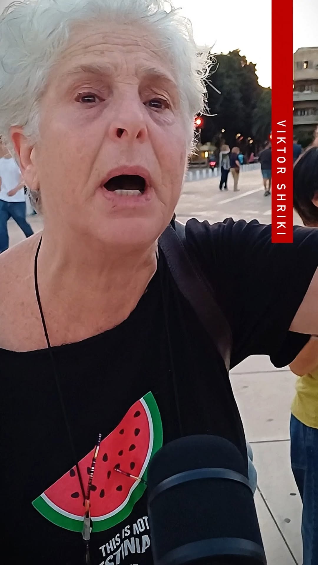 הלכתי היום להבימה לשוחח עם מצביעי המחנה של אייזנקוט ובנט,...