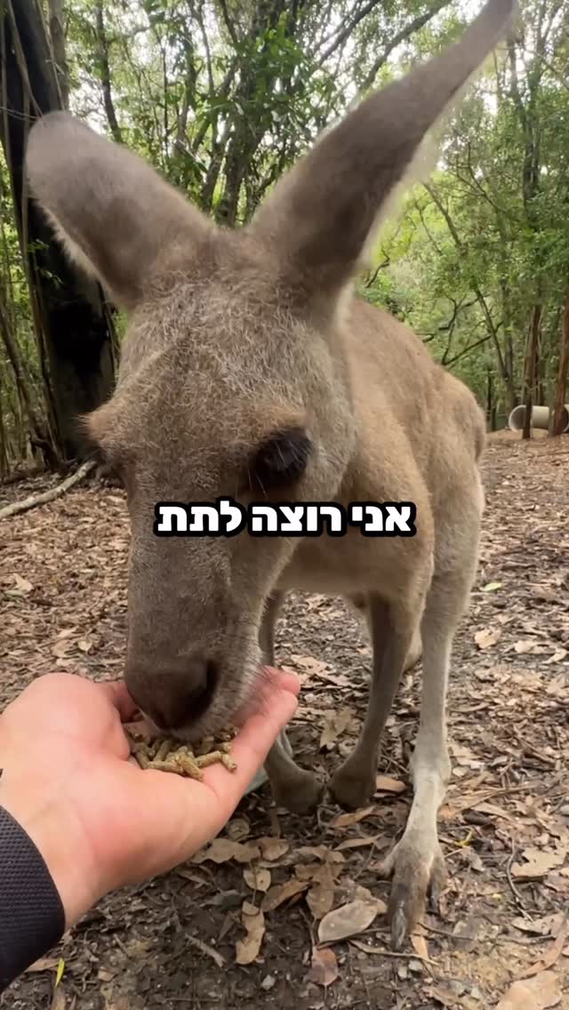 צריך לדעת מתי לעצור !