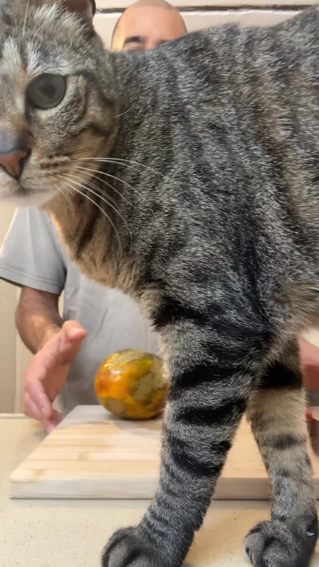 גמיש...