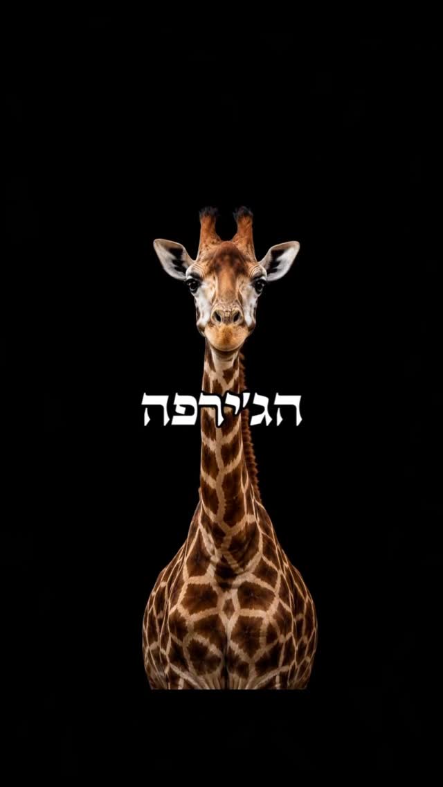 כולם מדברים, מעטים מבינים 🦒...