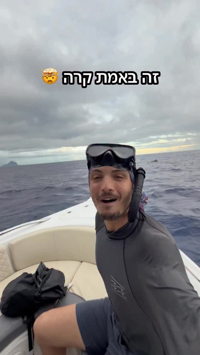 כל החיים חלמתי לשחות עם החיה הכי גדולה בעולם...