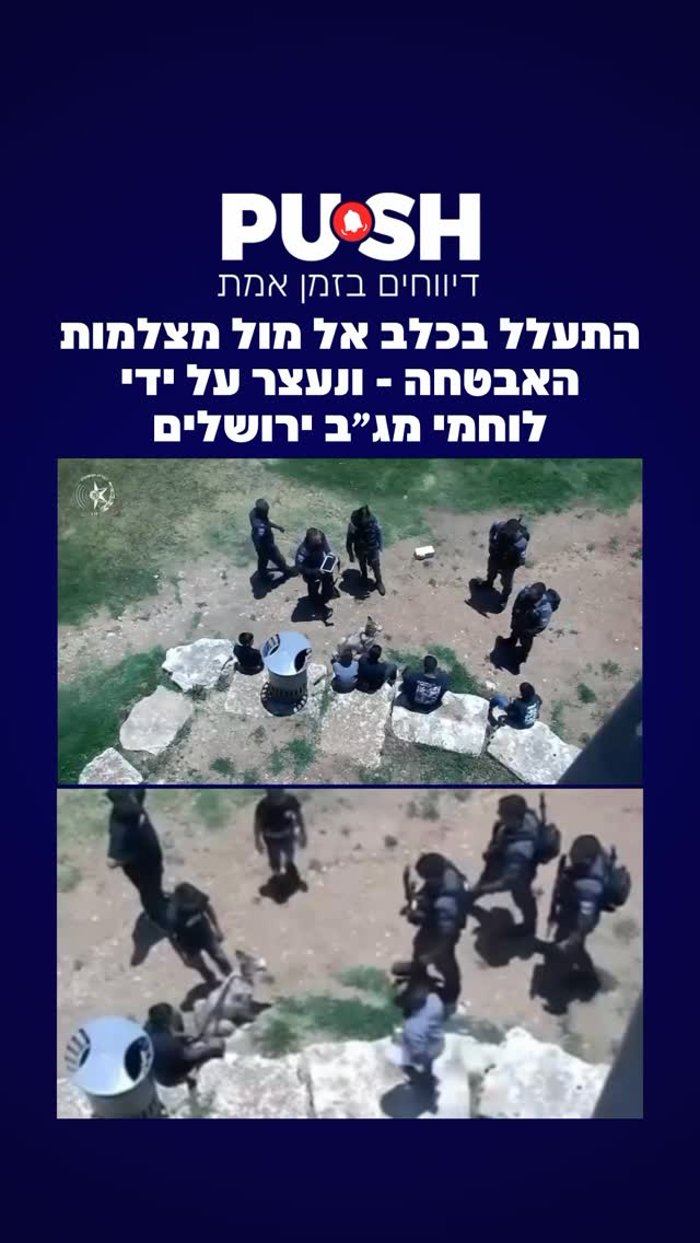 לוחמי מג״ב ירושלים ושוטרי מחוז ירושלים עיכבו חשוד בהתעללות...