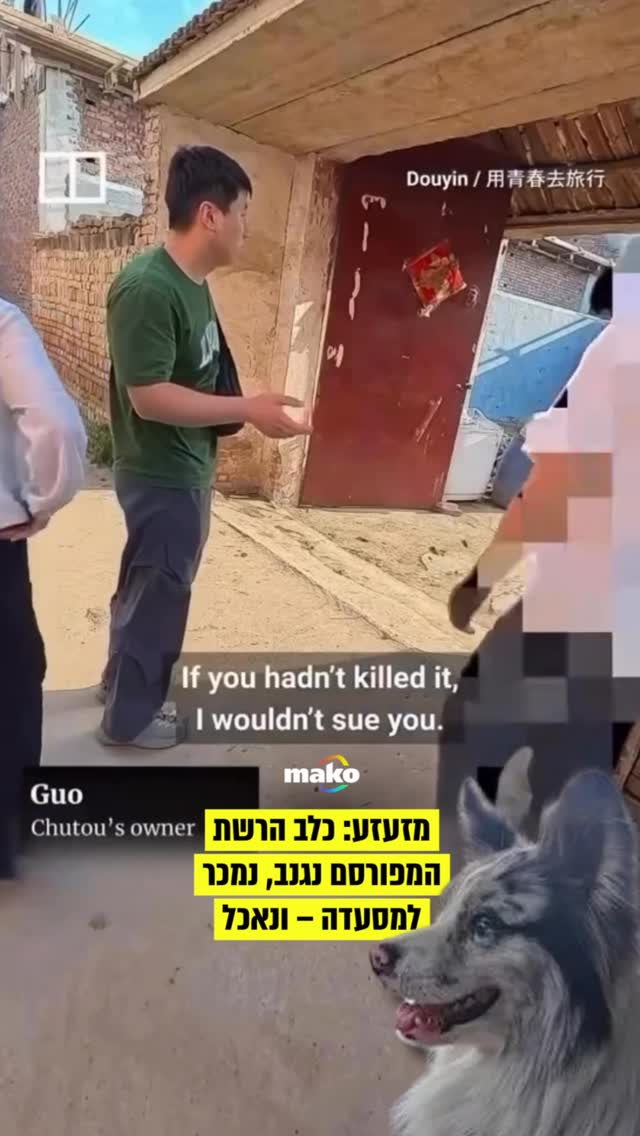 משפיען סיני בשם גואו טוען כי כלבו האהוב, בורדר קולי בן שמונה...