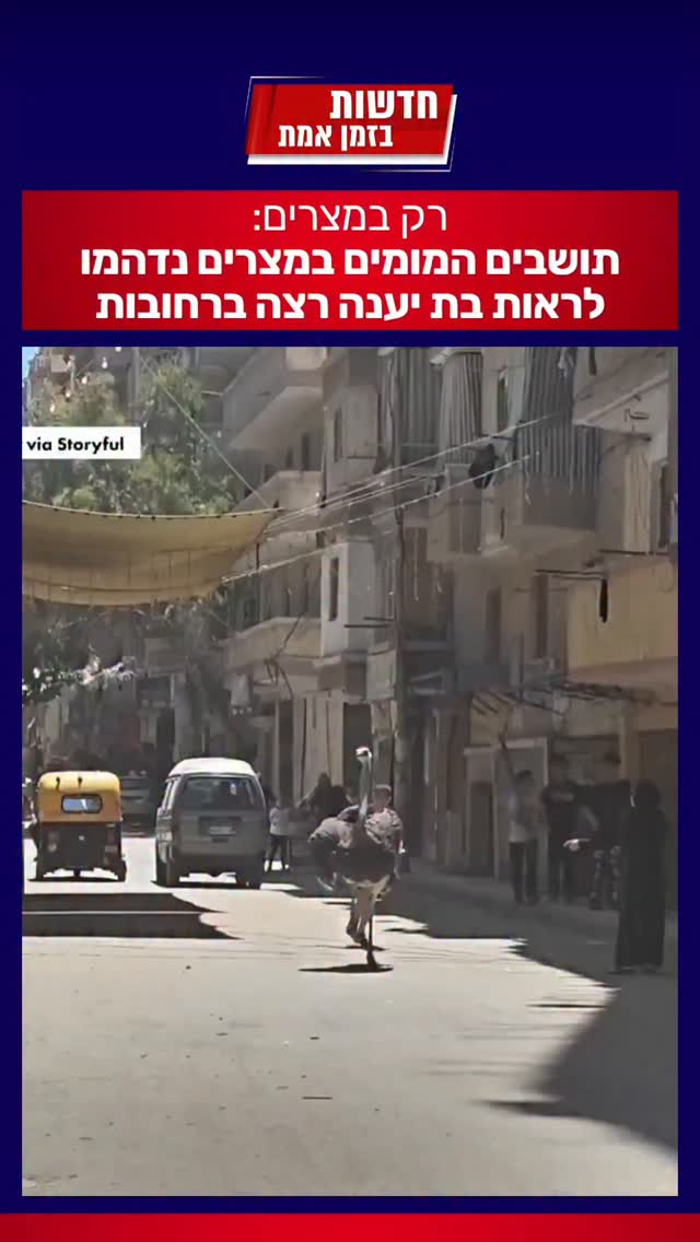 רק במצרים: תושבים המומים במצרים נדהמו לראות בת יענה רצה...