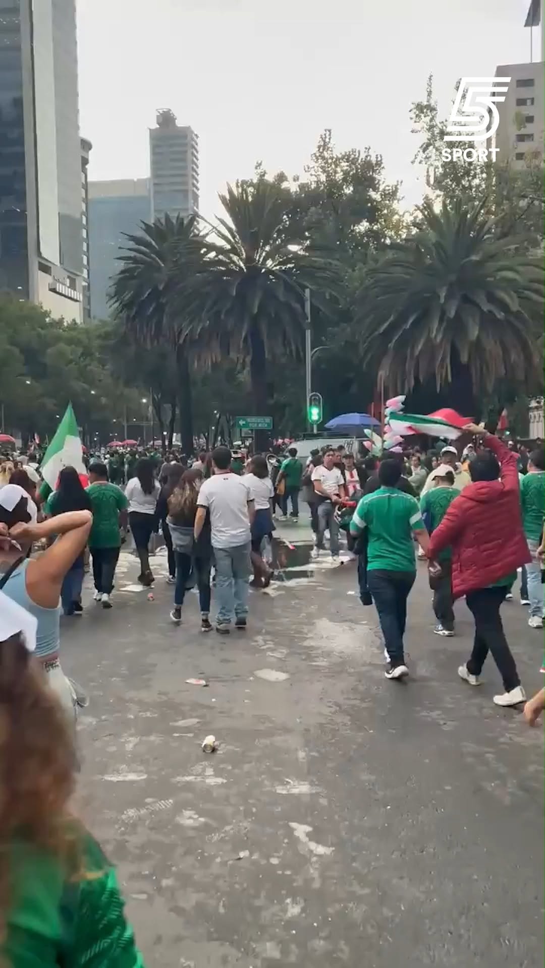 גם הברווזים עוד חוגגים את הניצחון של מקסיקו😂🪿...