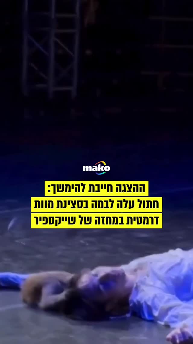במהלך סצינת מוות בסוף המחזה ״רומיאו ויוליה״ בטורקיה חתול עלה...