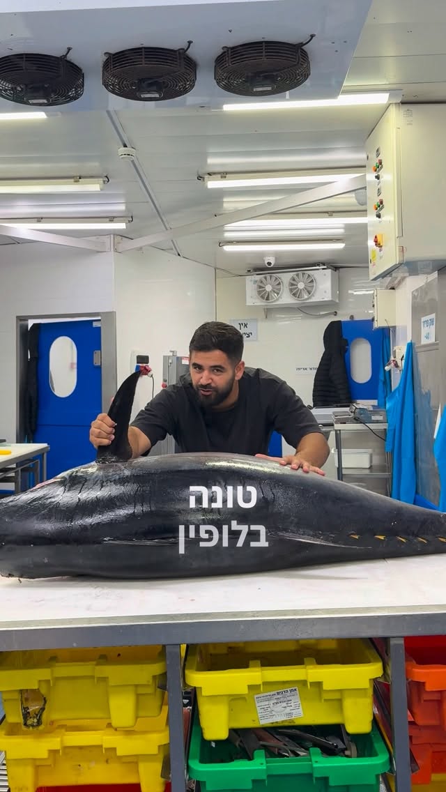 המלכה של הים!...