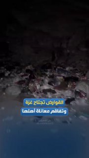 סינווארים מכרסמים שורצים את עזה, ומחריפים את סבלם של תושביה....
