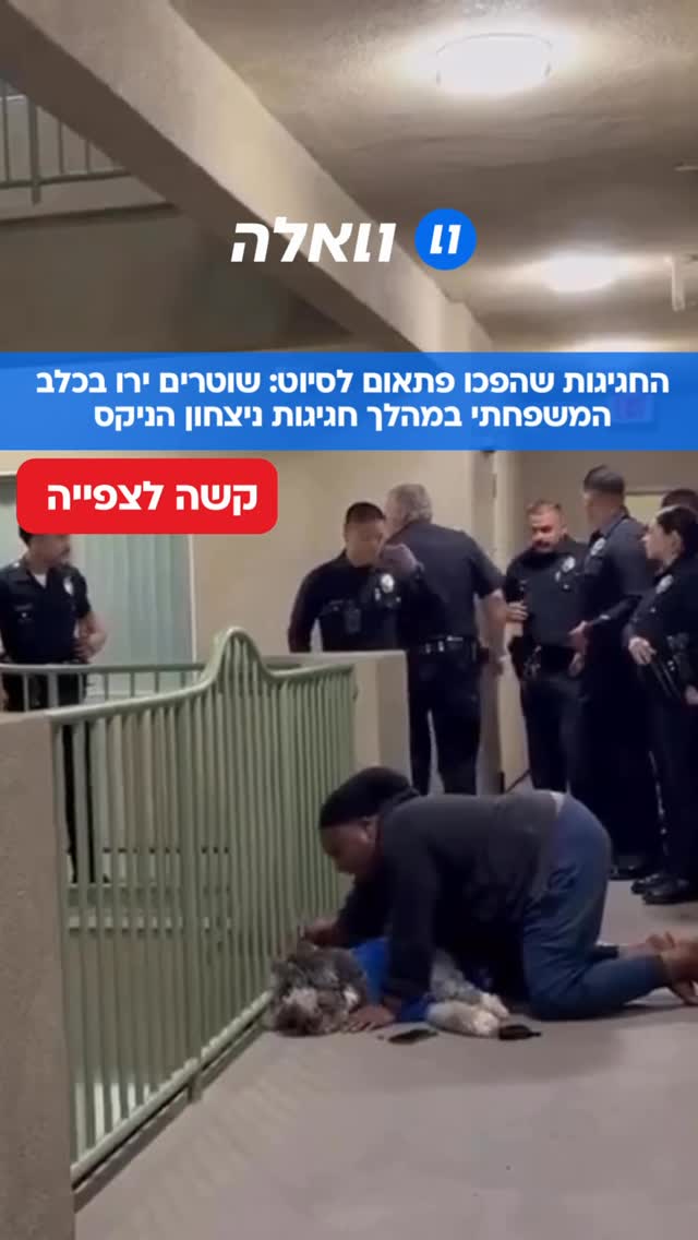 חגיגה של אליפות ה-NBA של הניו יורק ניקס הפכה לטרגדיה בלוס...
