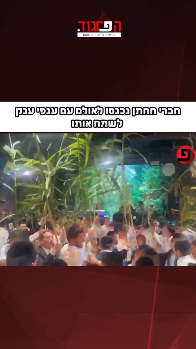 חברי החתן נכנסו לאולם עם ענפי ענק לשמח אותו...