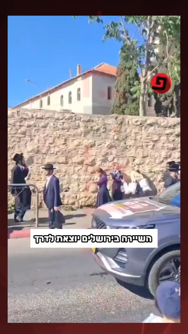 צילום חיות הקודש...