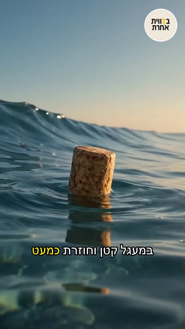 הגל שעובר בלי שהמים זזים 🌊 הגוף חולף, אבל המסר שאנחנו נושאים...