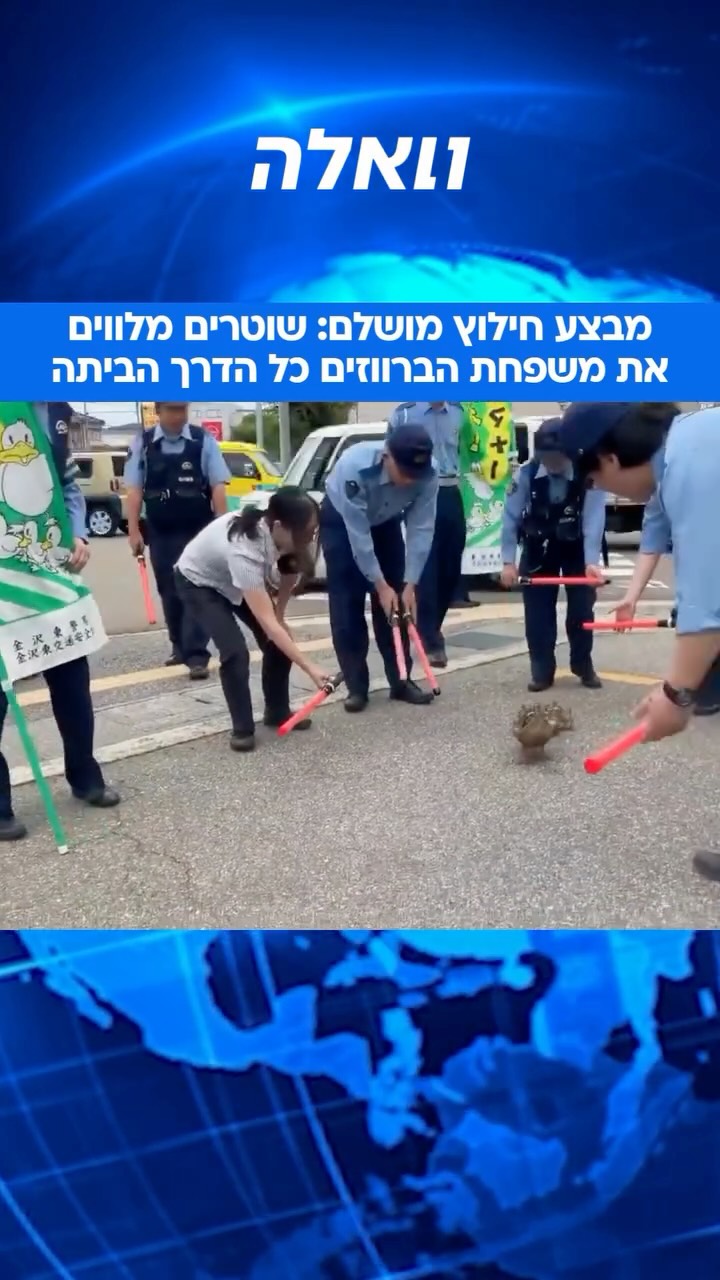 ⁨ מבצע אבטחה חריג ביפן: שוטרים גויסו כדי ללוות משפחת ברווזים...