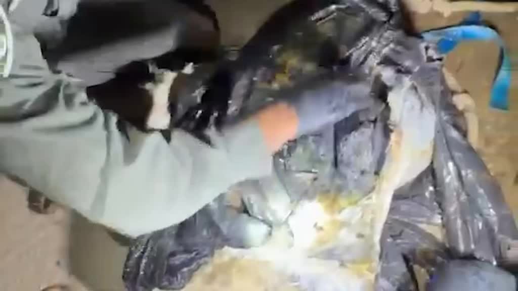 לוחמי הגדוד הצפוני של מג"ב עוטף ירושלים חשפו וסיכלו מצבור...