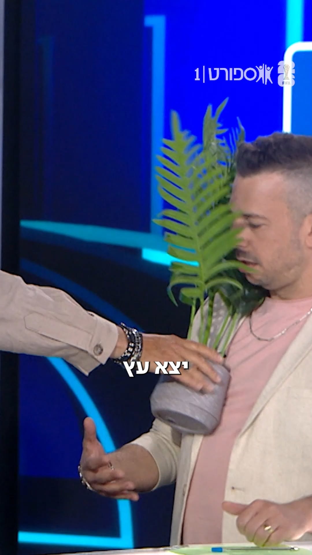 יש יותר עץ מזה? 🌳...