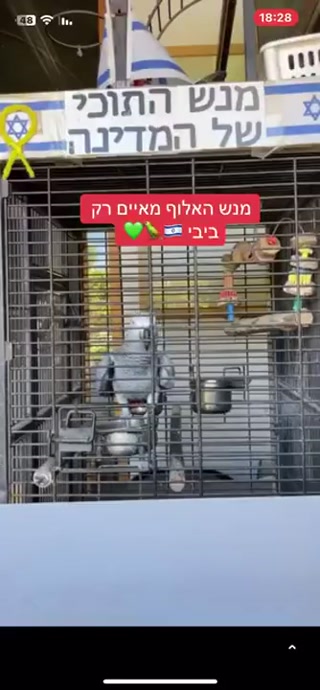 מנש התוכי של המדינה...