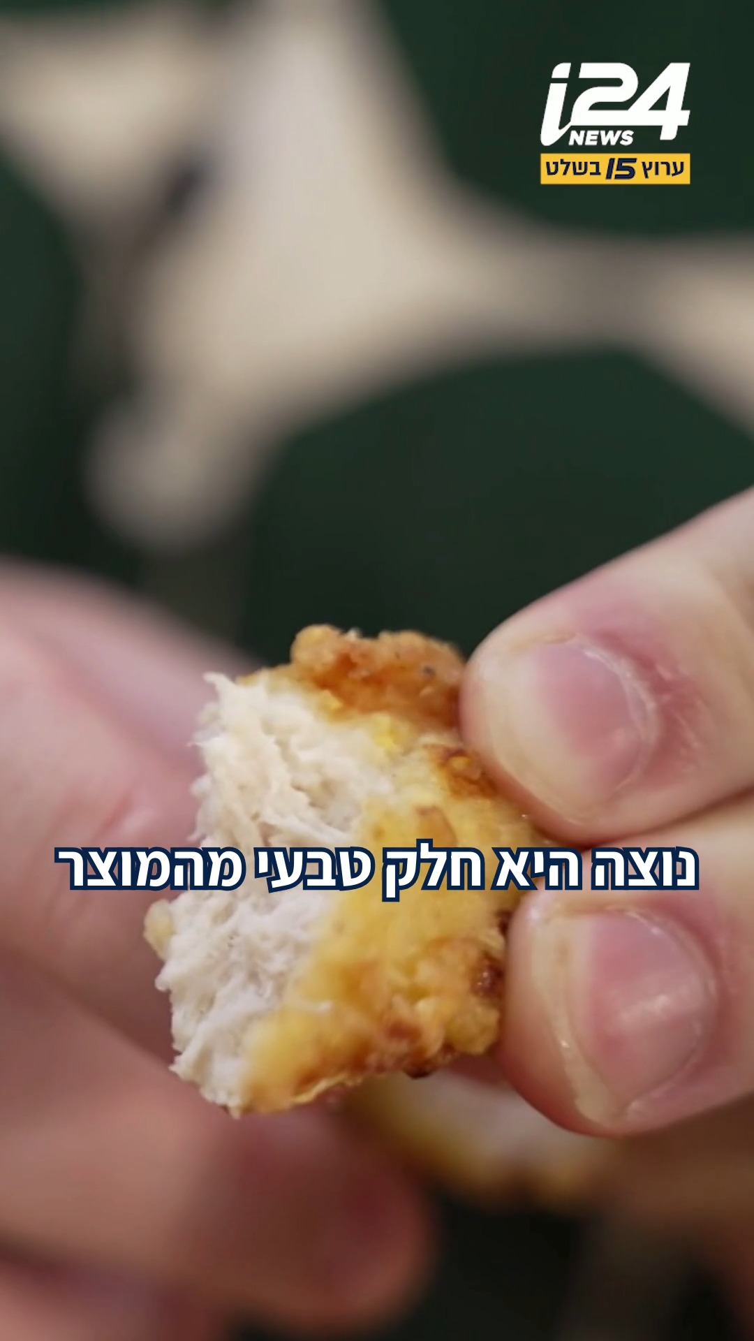 מבחן הנאגטס הגדול: השפים מדרגים את רשתות המזון המהיר - ובאיזו...
