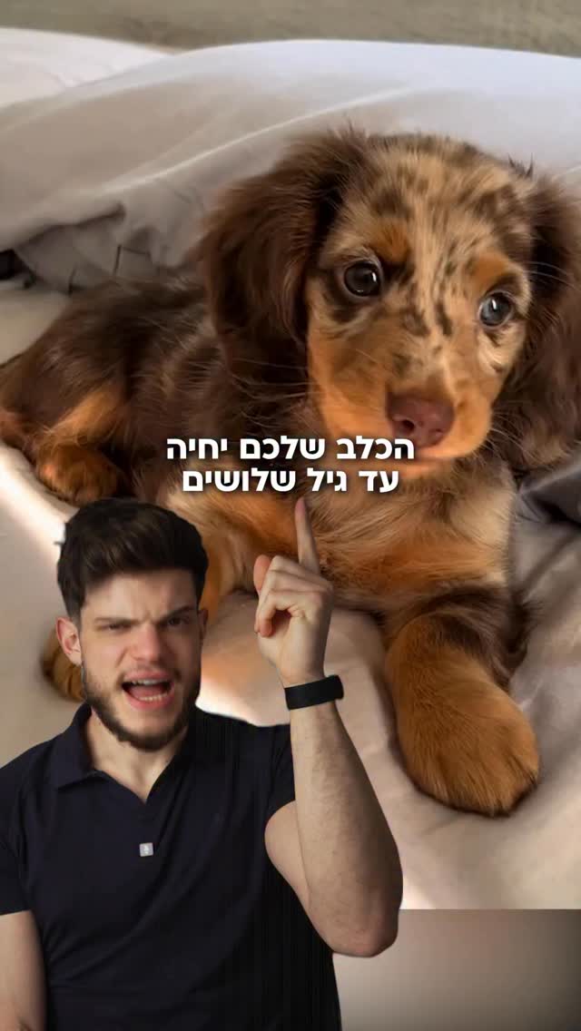 הכלב שלכם הולך לחיות עד גיל 30 🐶...