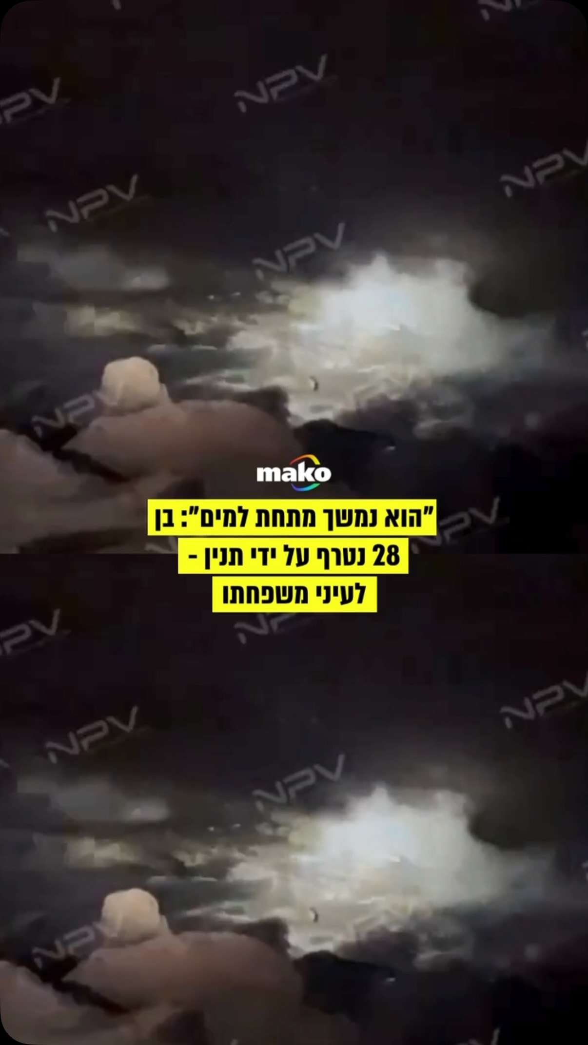 מקסיקני בן 28 נטרף למוות על ידי תנין בחוף במקסיקו. בזמן התקיפה,...