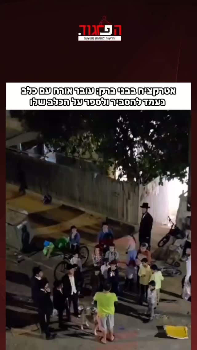 אטרקציה בבני ברק: עובר אורח עם כלב...