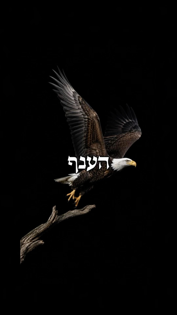 לפעמים, מה שצריך לעשות זה לגזור את הענף 🪵...