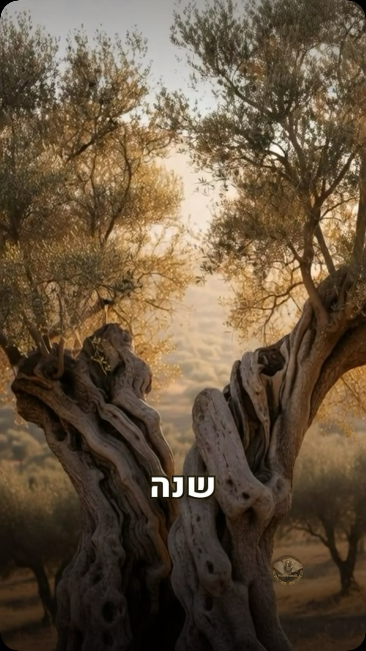 שלחו לחבר או חברה שצריכים לשמוע את זה ♥️...
