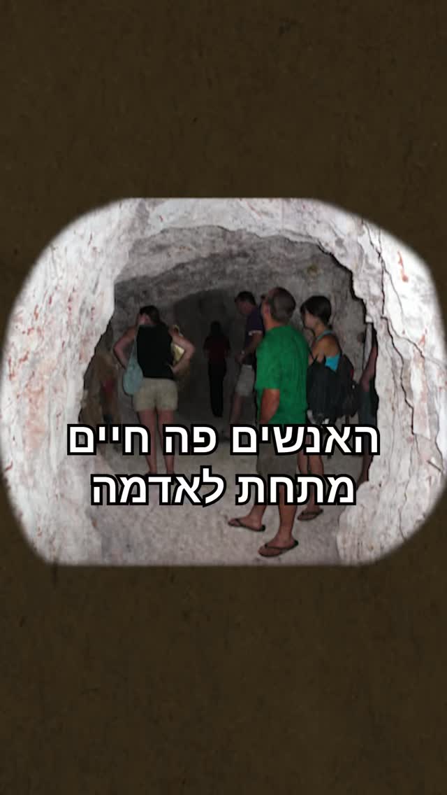 הייתם רוצים לחיות ככה?...