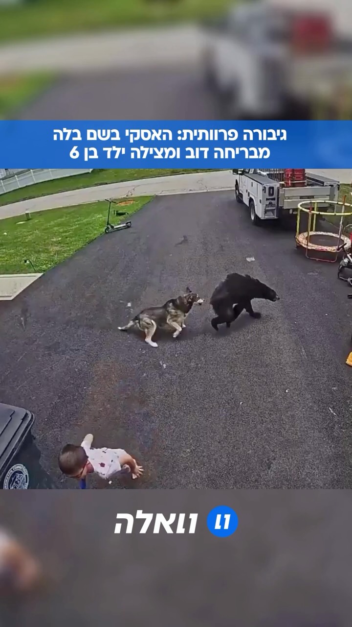 התקרית המפחידה התרחשה בטורינגטון, קונטיקט, כאשר בנו בן ה-6 של...