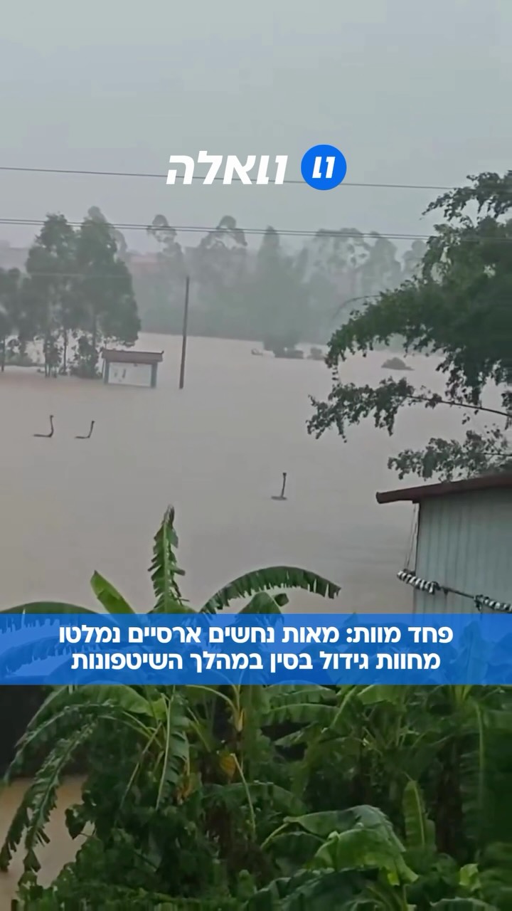 כלי תקשורת מקומיים בסין מדווחים כי נחשי כרכן המלך וקוברות...
